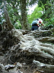 登山3.jpg