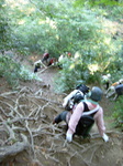 登山5.jpg