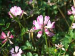DSCF0372s-s.jpg