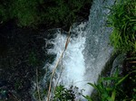 DSCF0494ss.jpg