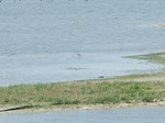 DSCF0542ss.jpg