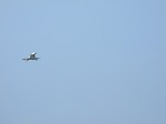DSCF0548ss.jpg