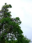 DSCF0753ss.jpg
