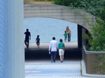 歩道橋からトンネル