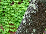 DSCF1249ss.jpg