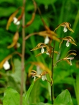 DSCF1402ss.jpg