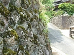 DSCF1877sss.jpg
