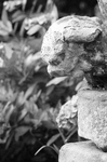 IMGP2639mono_sss.jpg