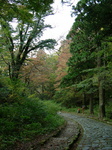 isinomitikudari.jpg