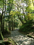 sizensekiyu-hodou.jpg